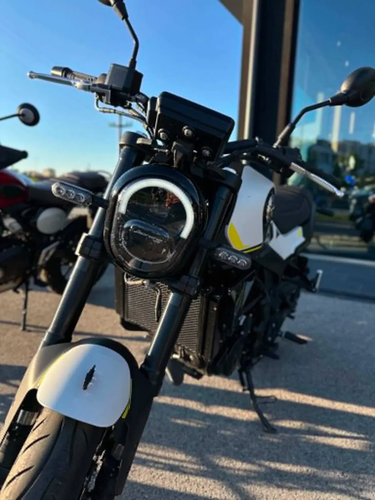 Benelli Leoncino 250 (2021 - 25) (2)