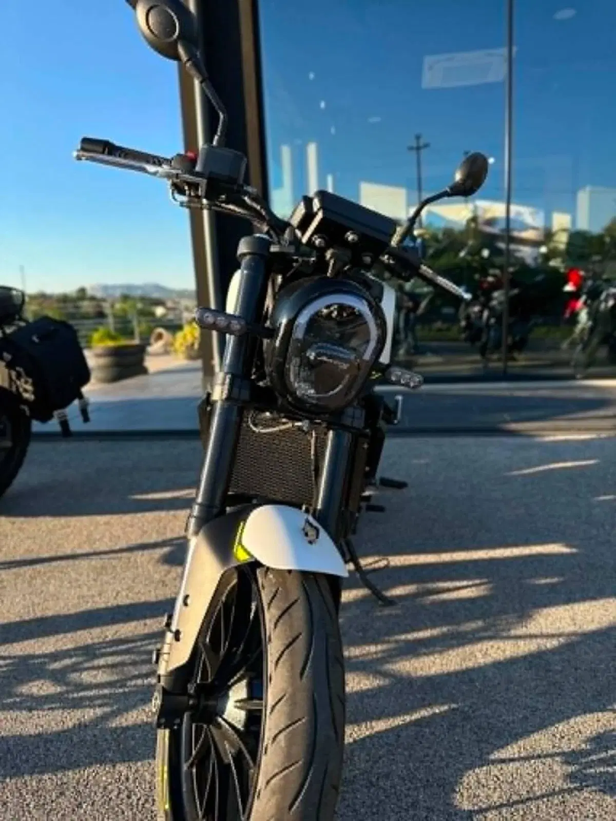 Benelli Leoncino 250 (2021 - 25) (3)