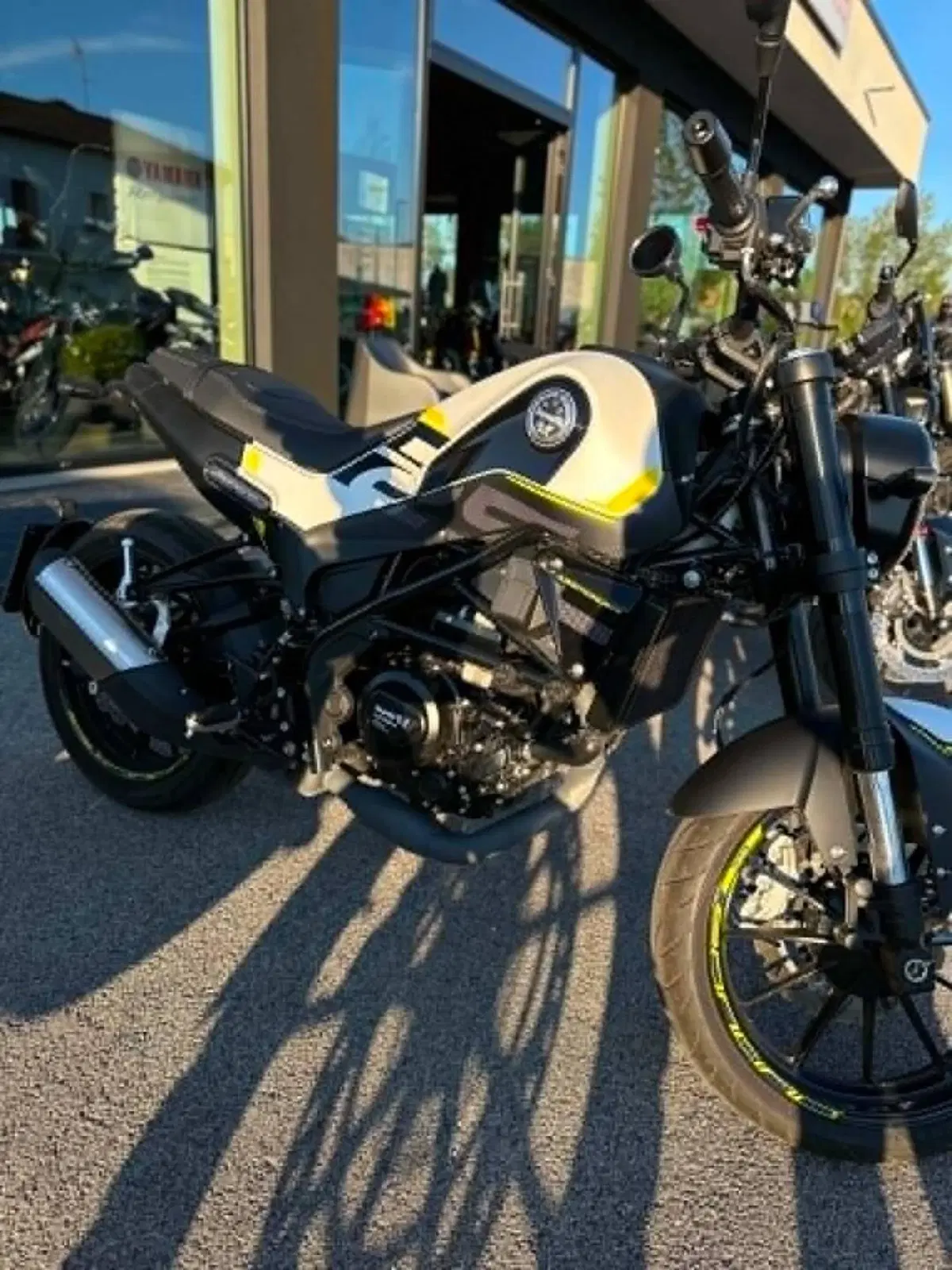 Benelli Leoncino 250 (2021 - 25) (10)