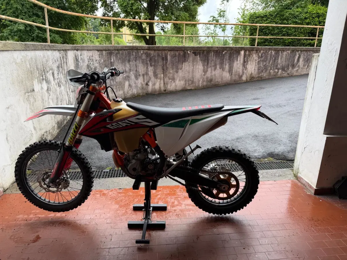 KTM 350 EXC-F Six Days (2020) (3)