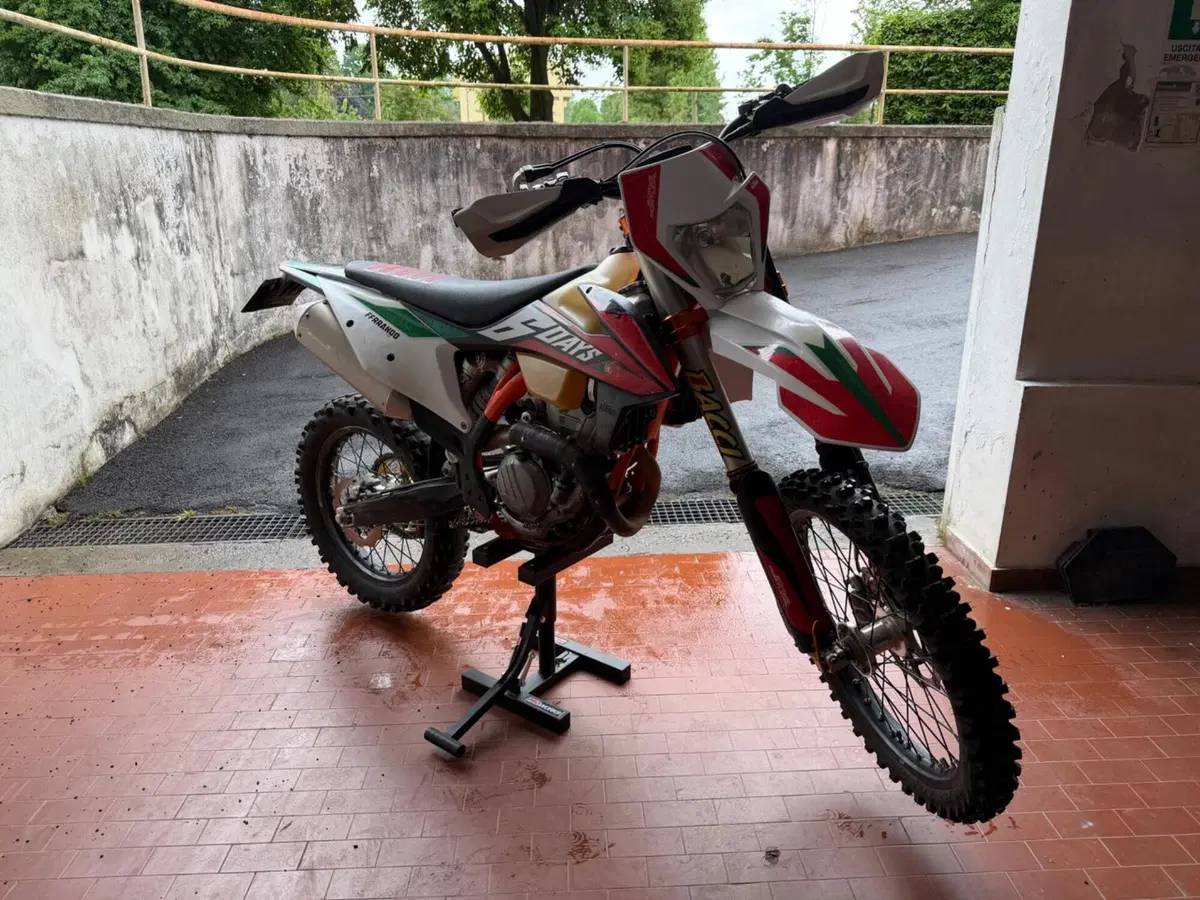 KTM 350 EXC-F Six Days (2020) (4)