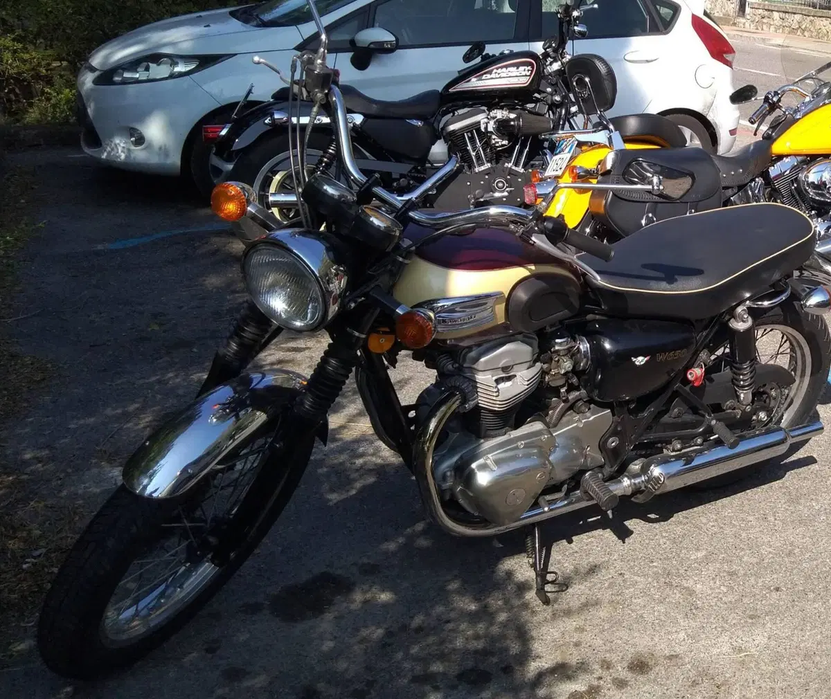 Kawasaki W 650 (2001 - 06) (4)