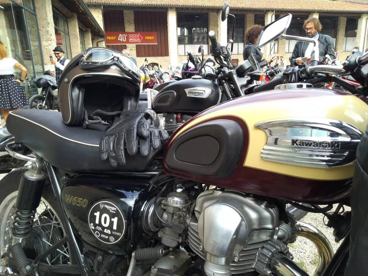Kawasaki W 650 (2001 - 06) (6)