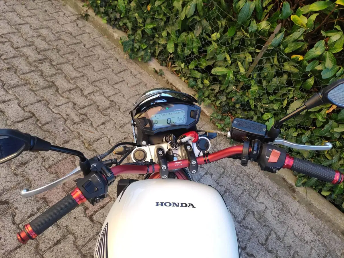 Honda NTV 650 R (1994 - 98) (5)