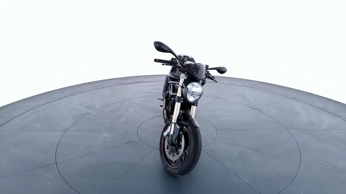 Ducati Monster 1100 (2009 -10) (2)