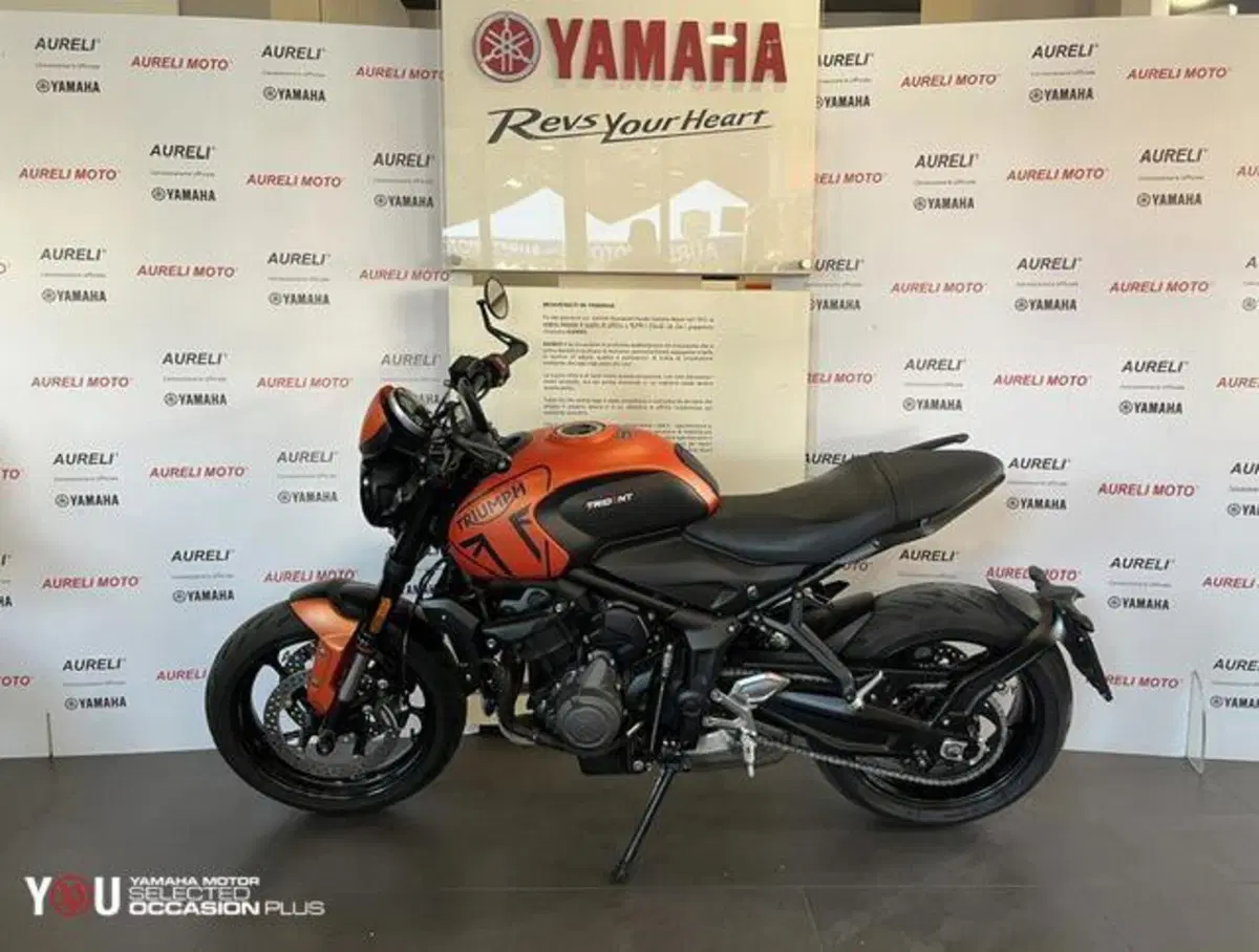Triumph Trident 660 (2021 - 24) (5)