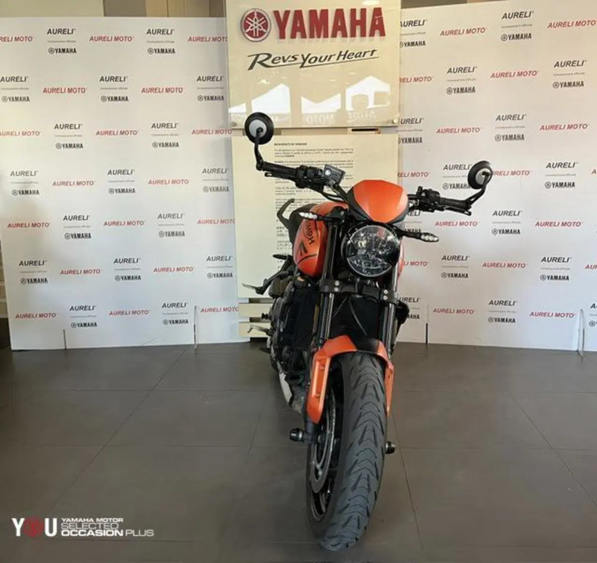 Triumph Trident 660 (2021 - 24) (2)