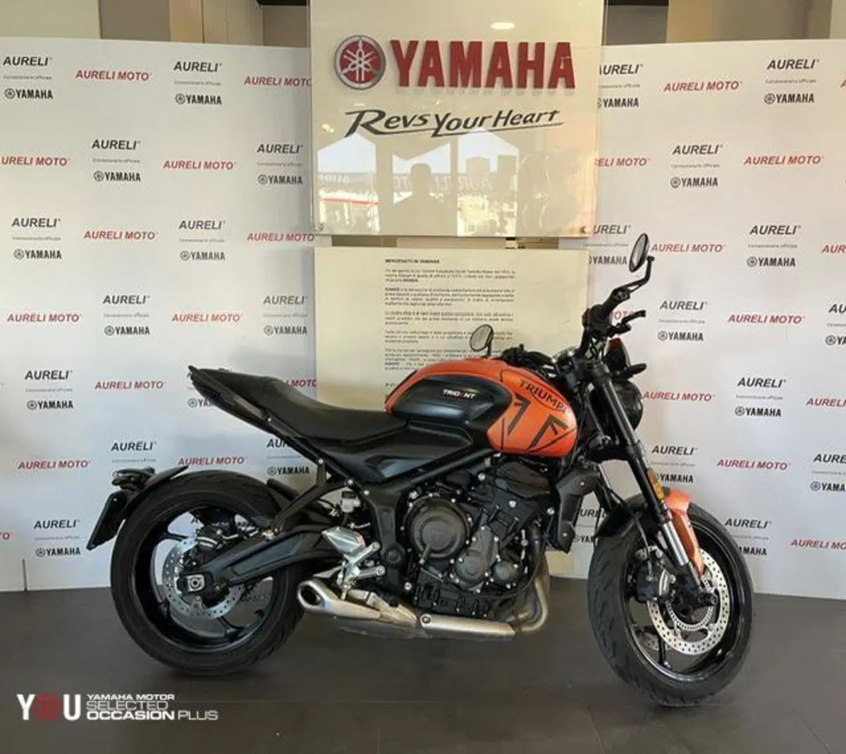 Triumph Trident 660 (2021 - 24) (4)