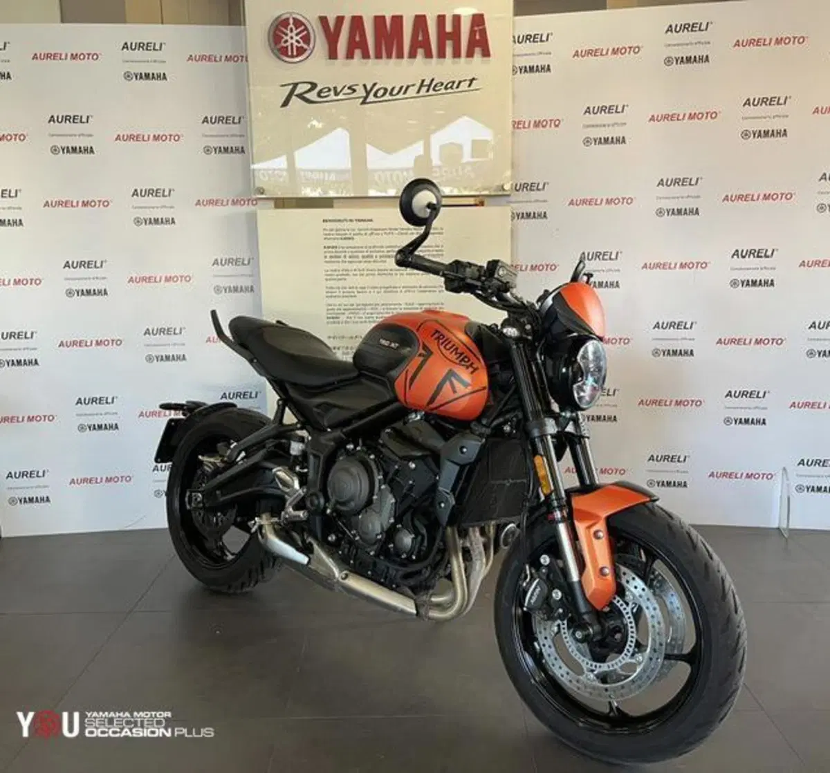 Triumph Trident 660 (2021 - 24) (3)