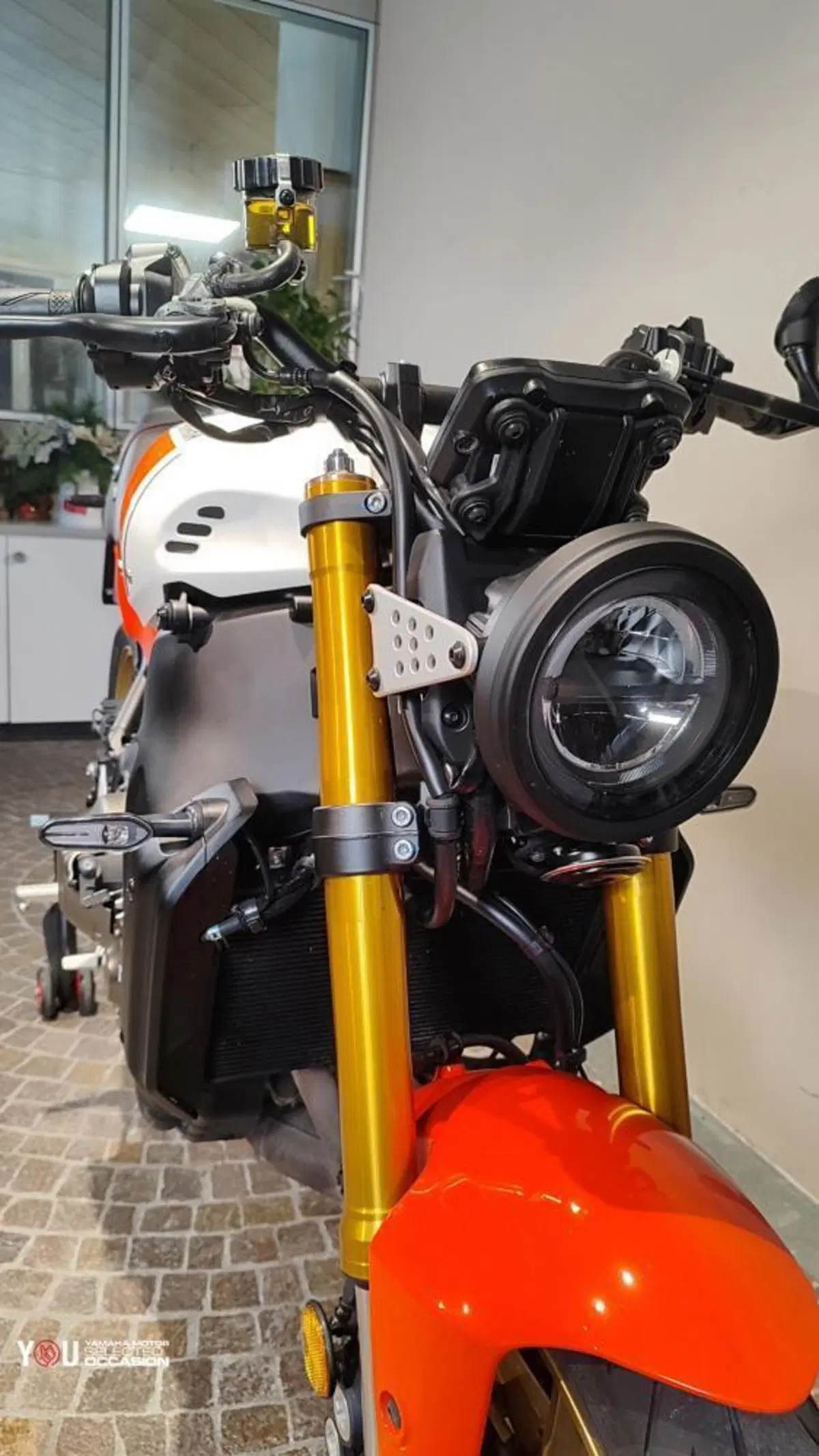 Yamaha XSR 900 (2022 - 24) (8)