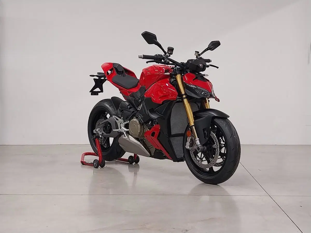 Ducati Streetfighter V4 S (2025 - 26) (5)