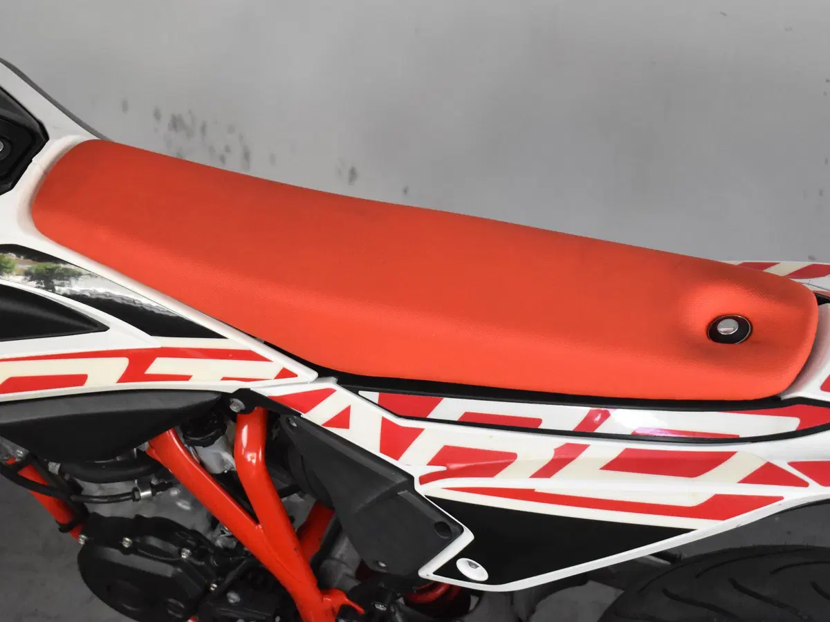 Betamotor RR 125 4T Motard LC (2021 - 23) (14)
