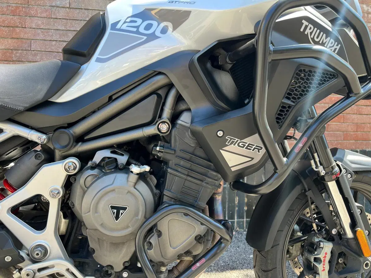 Triumph Tiger 1200 GT Pro (2022 - 23) (9)