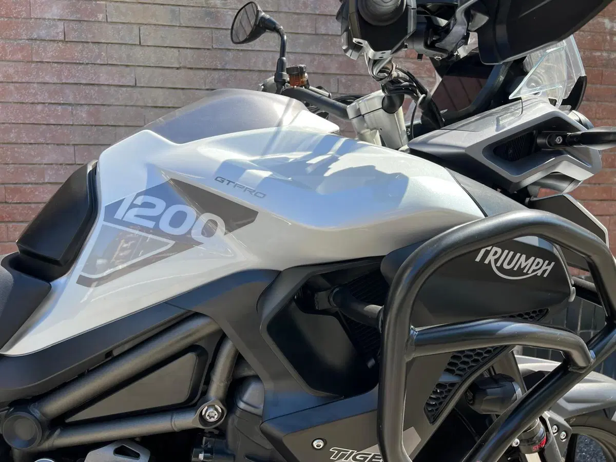 Triumph Tiger 1200 GT Pro (2022 - 23) (12)
