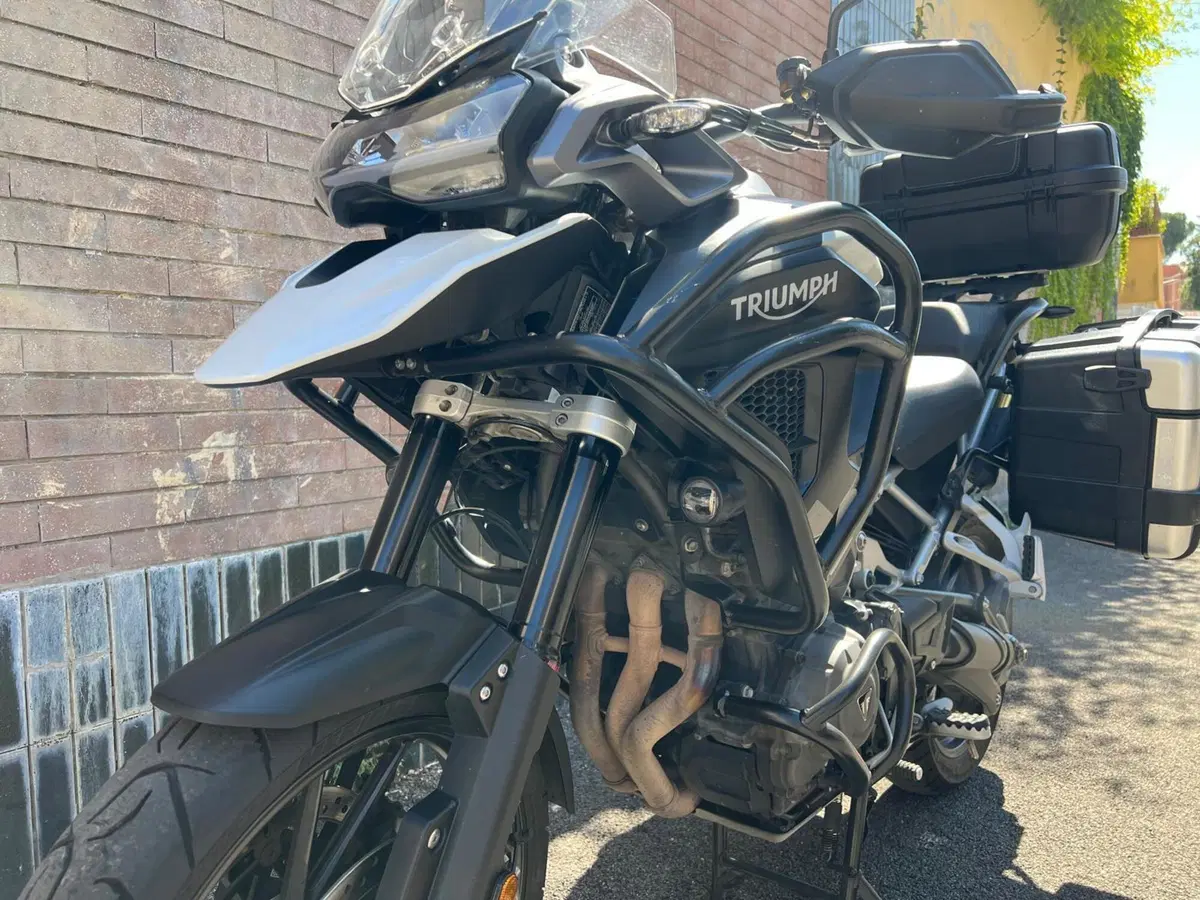 Triumph Tiger 1200 GT Pro (2022 - 23) (14)