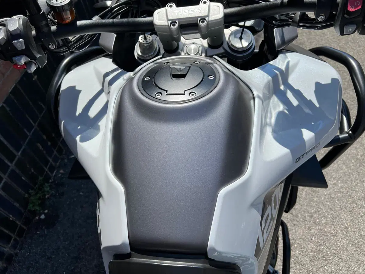 Triumph Tiger 1200 GT Pro (2022 - 23) (16)