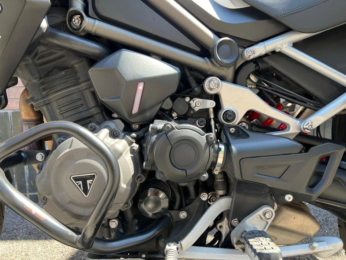 Triumph Tiger 1200 GT Pro (2022 - 23) (17)