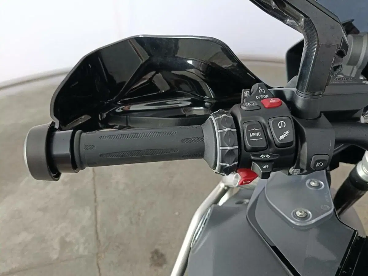 Bmw R 1250 GS (2021 - 24) (7)