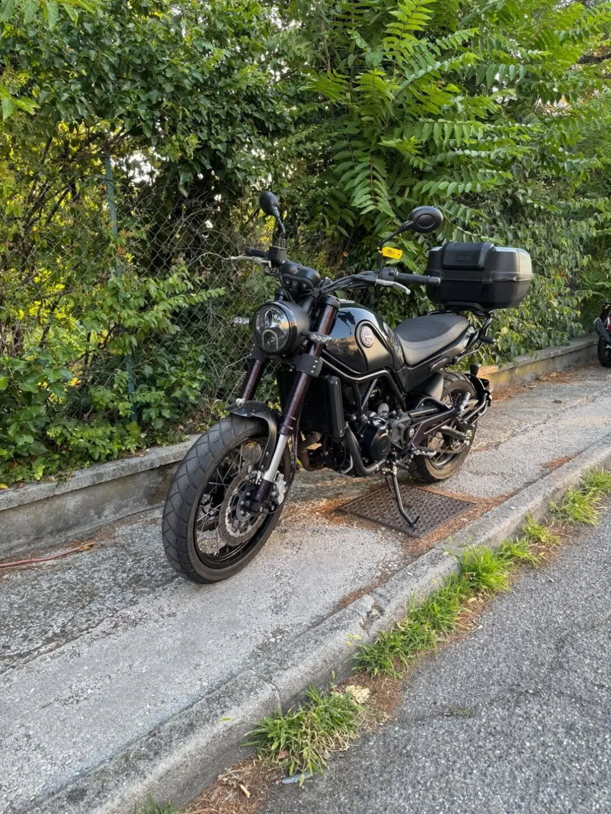 Benelli Leoncino 500 Trail (2021 - 26) (3)