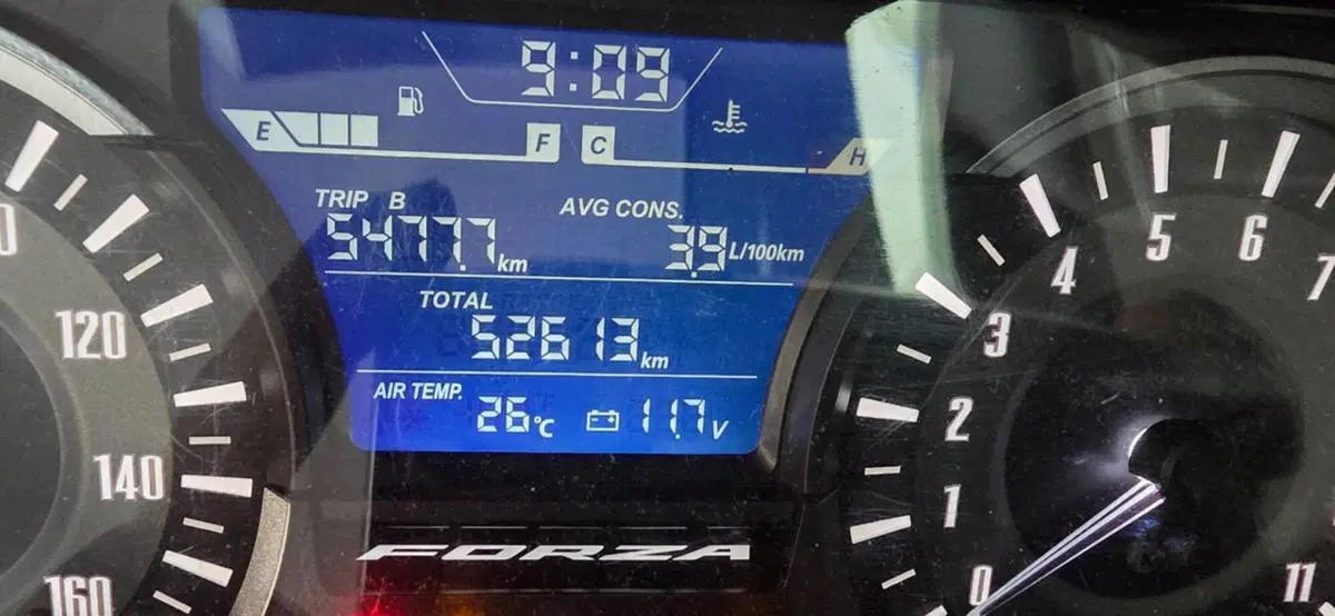 Honda Forza 300 (2019 - 20) (3)