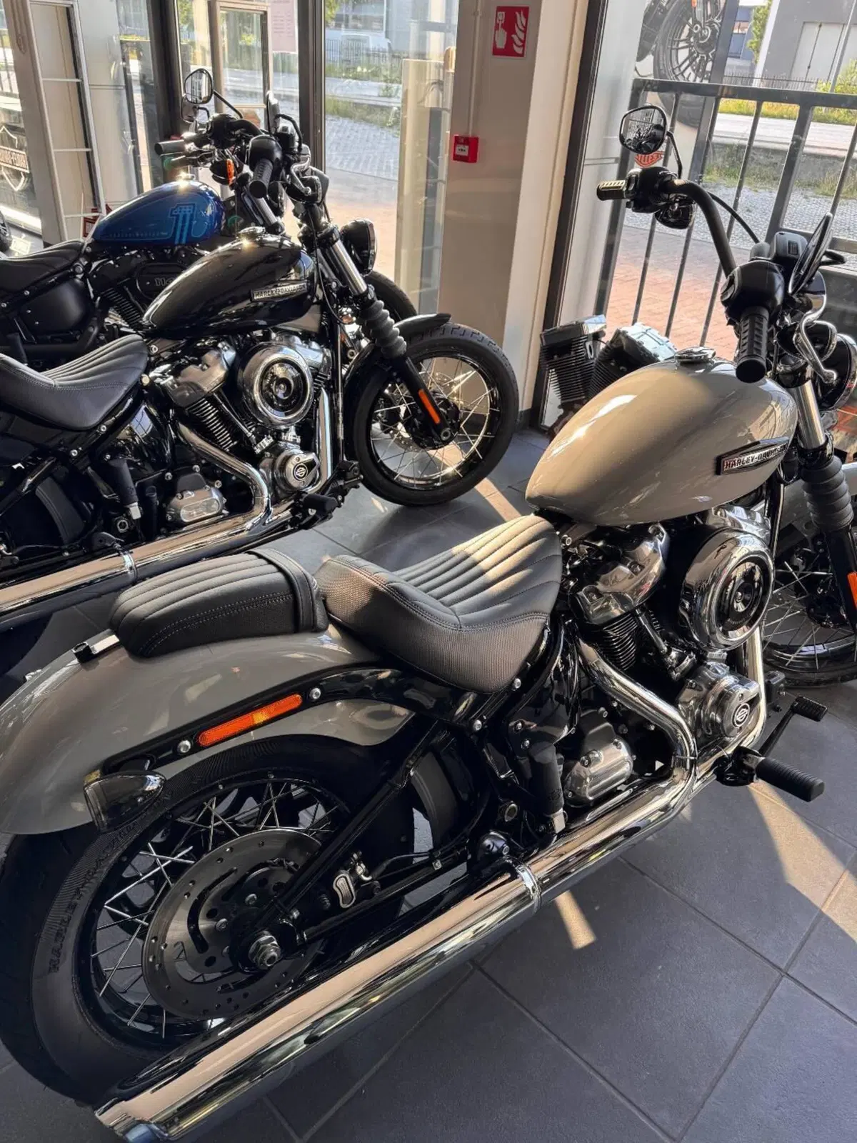 Harley-Davidson Street Bob 117 (2025 - 26)