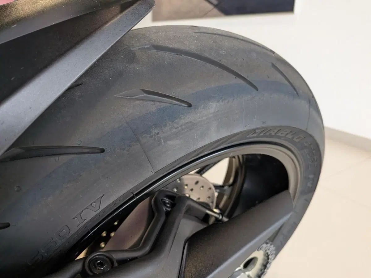 Ducati Streetfighter V2 (2022 - 24) (13)