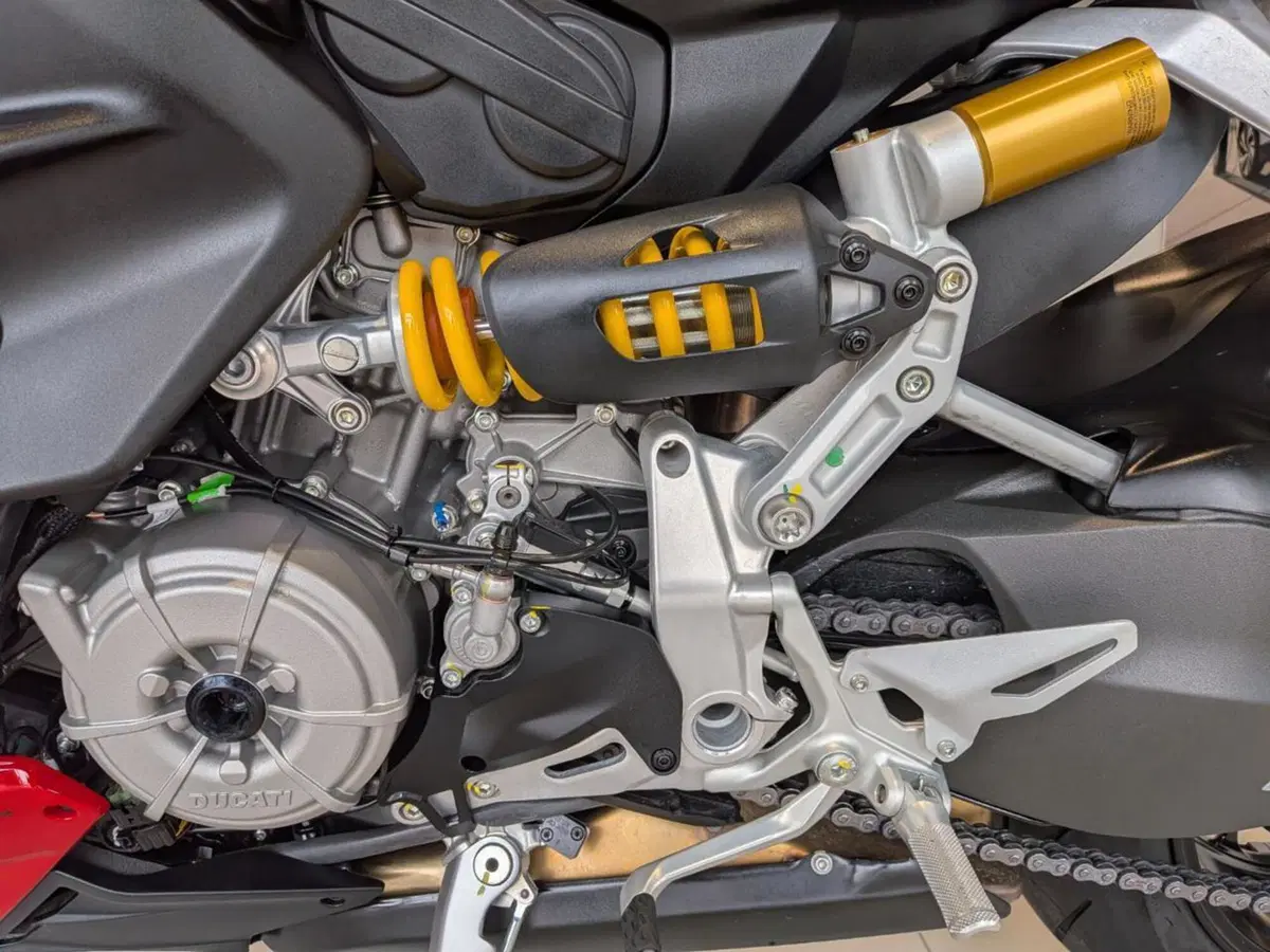 Ducati Streetfighter V2 (2022 - 24) (9)
