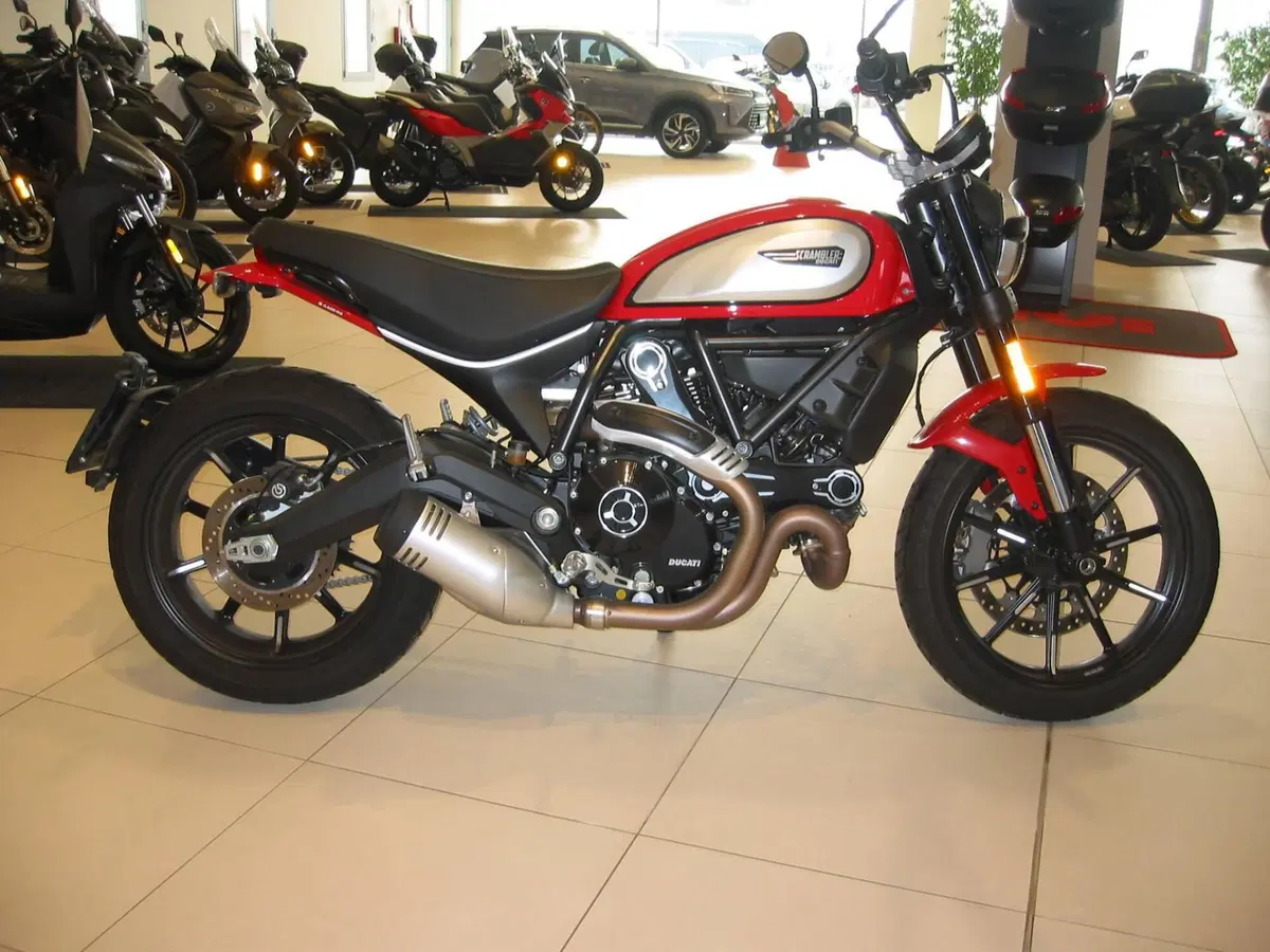 Ducati Scrambler 800 Icon (2023 - 24) (3)