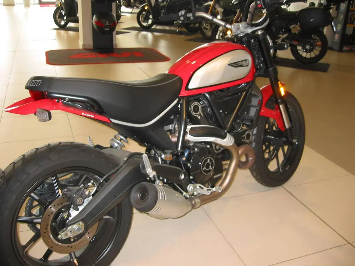Ducati Scrambler 800 Icon (2023 - 24) (7)