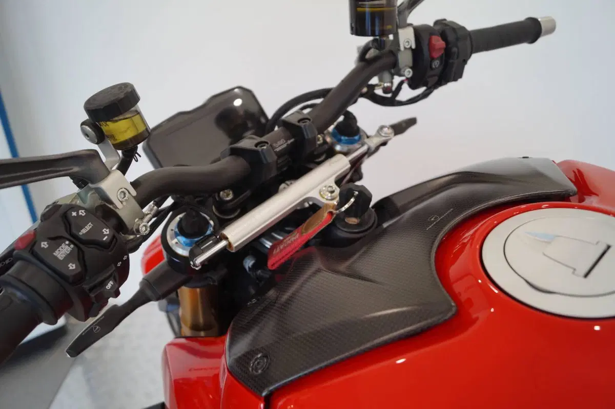 Ducati Streetfighter V4 1100 S (2020) (8)