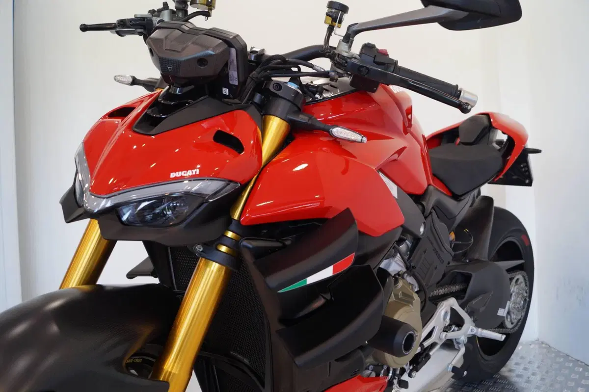 Ducati Streetfighter V4 1100 S (2020) (9)