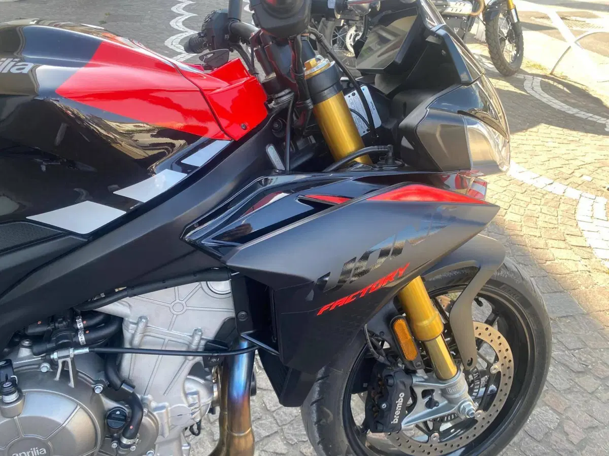 Aprilia Tuono 660 Factory (2025 - 26) (9)