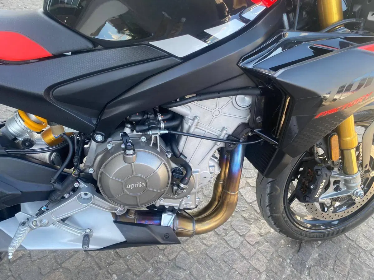 Aprilia Tuono 660 Factory (2025 - 26) (13)