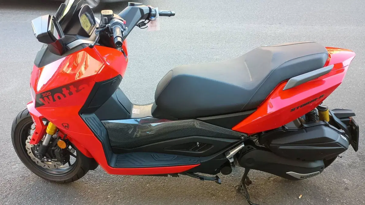 Wottan Motor Storm-R 300 (2023 - 25) (3)