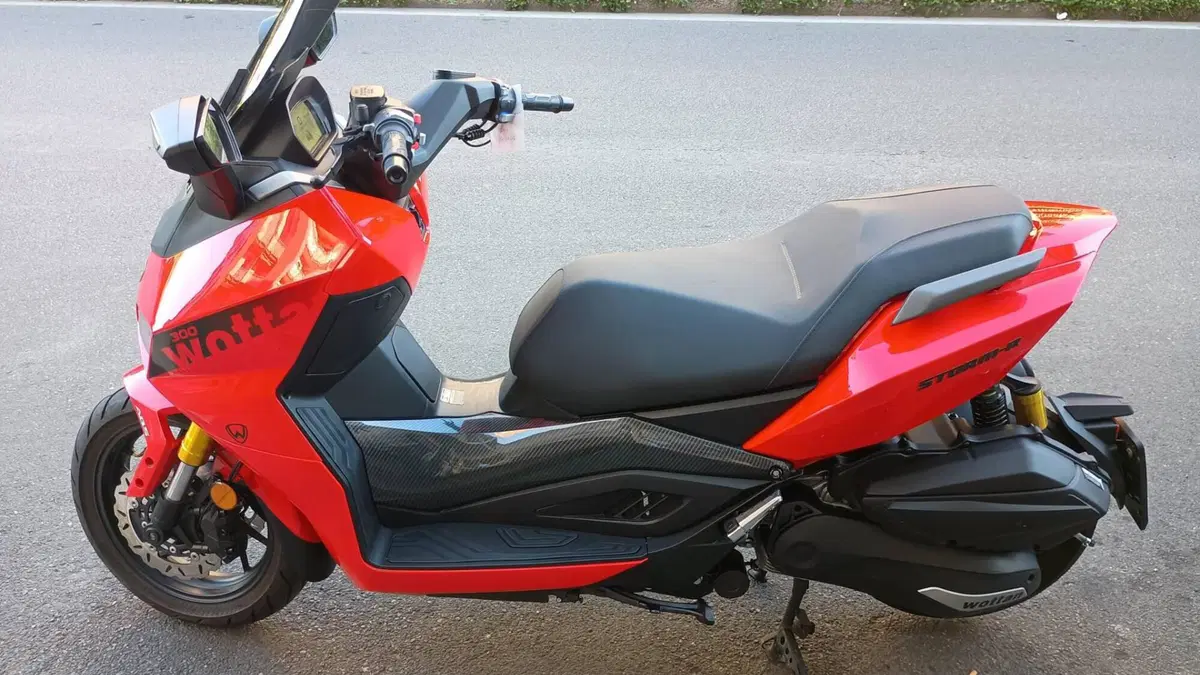 Wottan Motor Storm-R 300 (2023 - 25) (4)