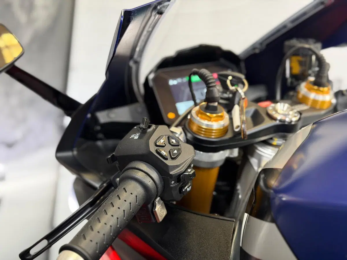 Aprilia RSV4 1100 Factory (2021 - 24) (18)