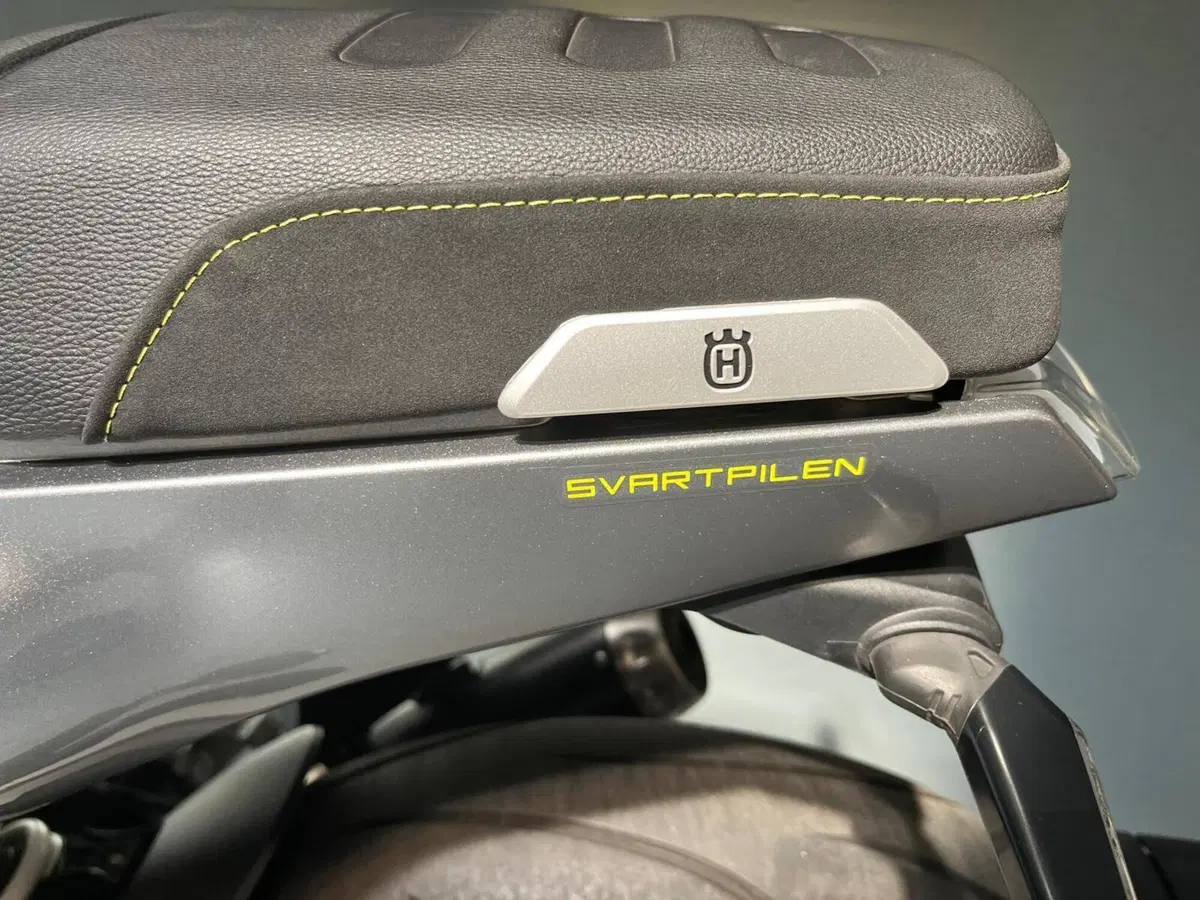 Husqvarna Svartpilen 401 (2021 - 23) (8)
