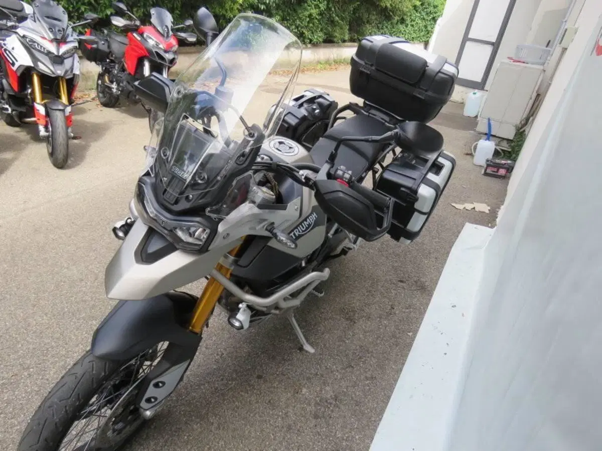 Triumph Tiger 900 Rally Pro (2020 - 23) (6)