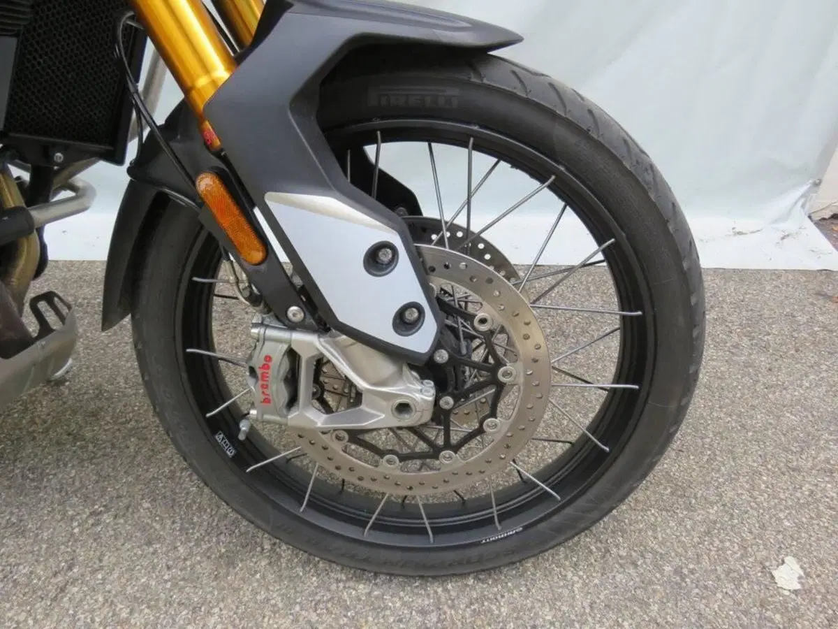 Triumph Tiger 900 Rally Pro (2020 - 23) (8)