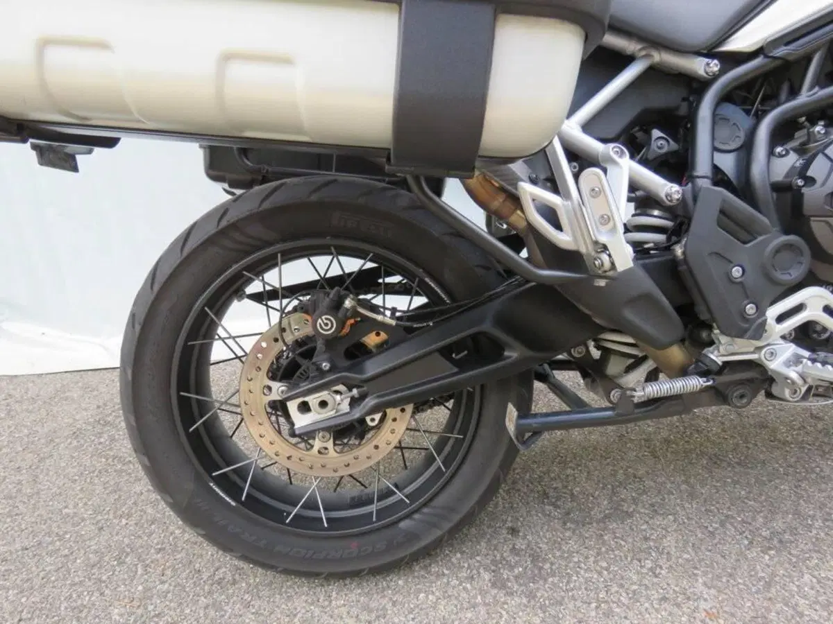 Triumph Tiger 900 Rally Pro (2020 - 23) (10)