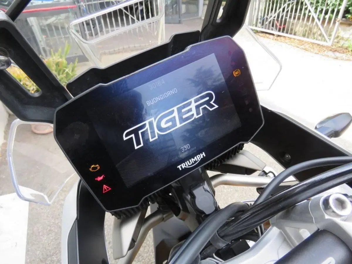 Triumph Tiger 900 Rally Pro (2020 - 23) (16)