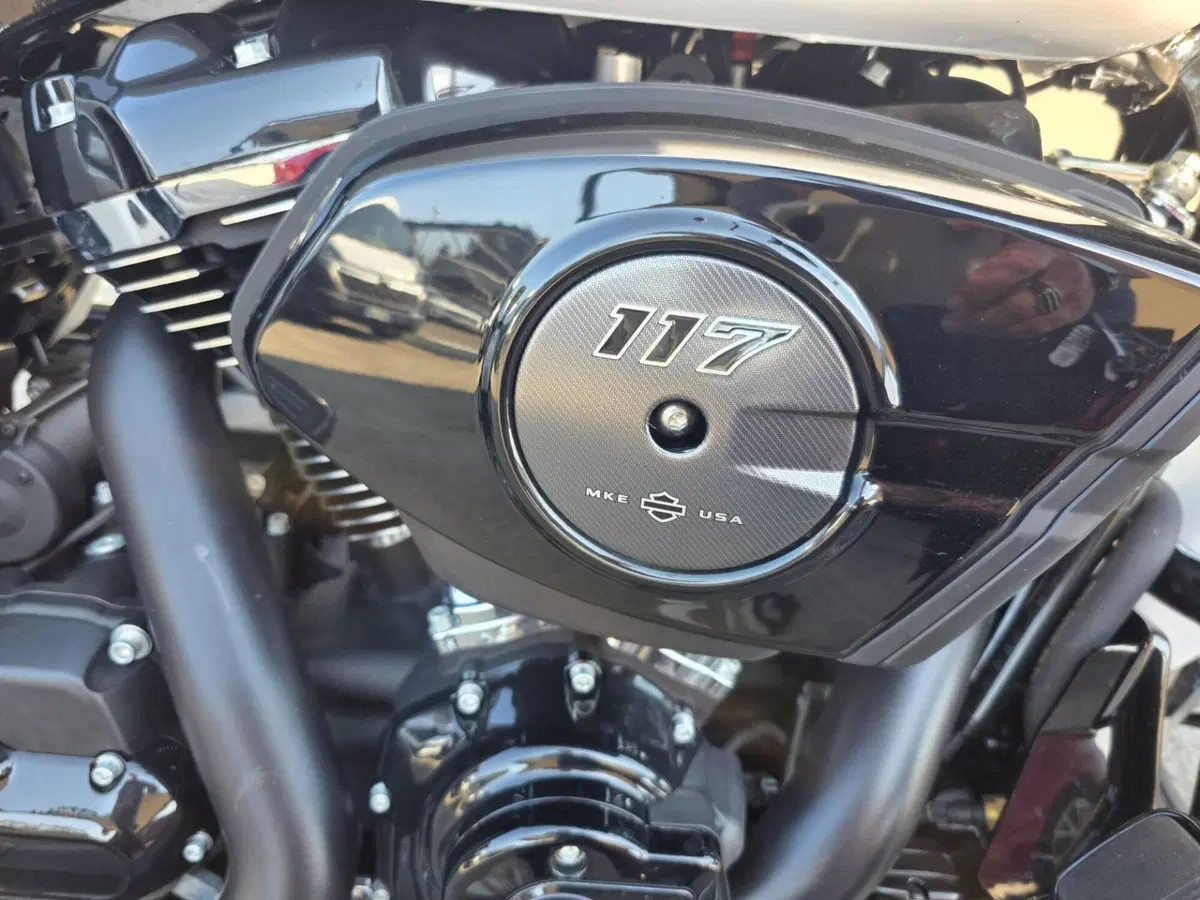 Harley-Davidson Street Glide (2024 - 26) (7)