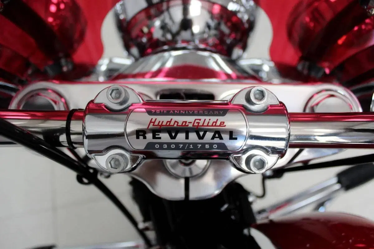 Harley-Davidson Hydra-Glide Revival (2024 - 25) (8)