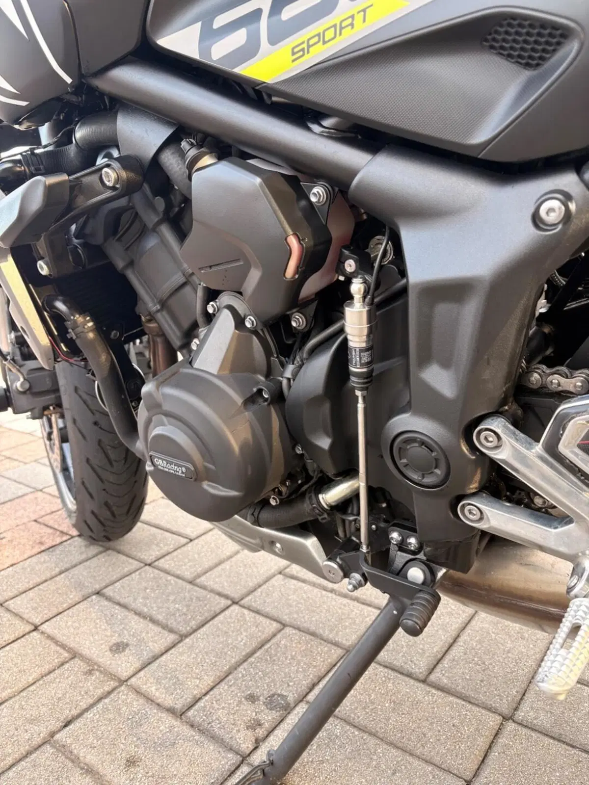 Triumph Trident 660 (2021 - 24) (5)