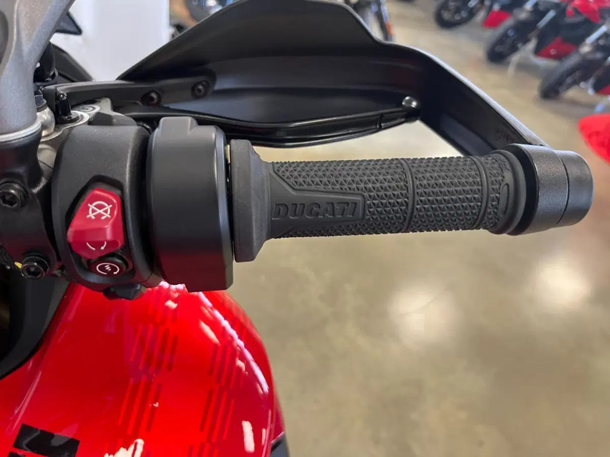 Ducati Multistrada V4 Pikes Peak (2025 - 26) (10)