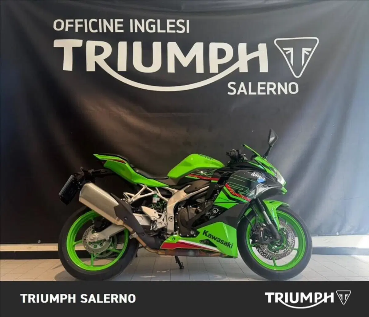 Kawasaki Ninja ZX-4R (2024 - 26)