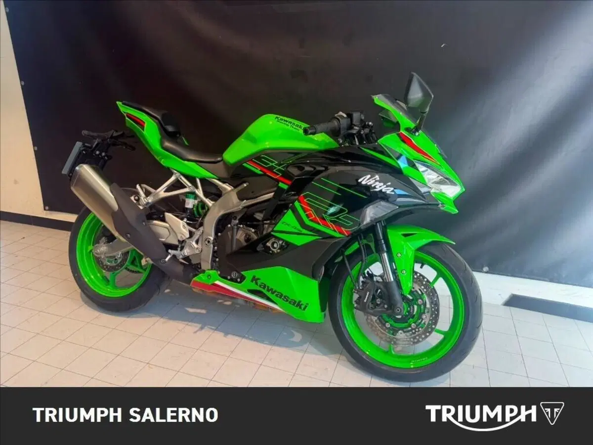 Kawasaki Ninja ZX-4R (2024 - 26) (2)