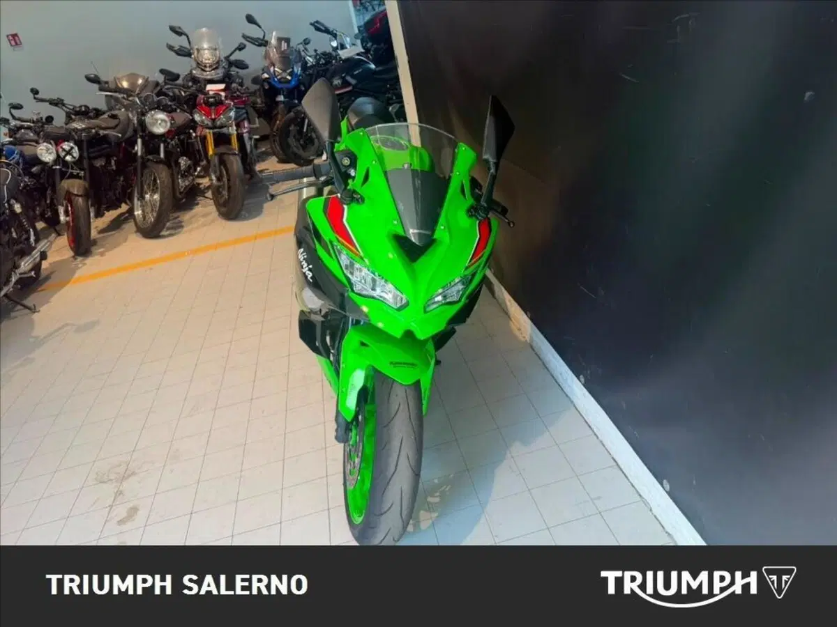 Kawasaki Ninja ZX-4R (2024 - 26) (4)