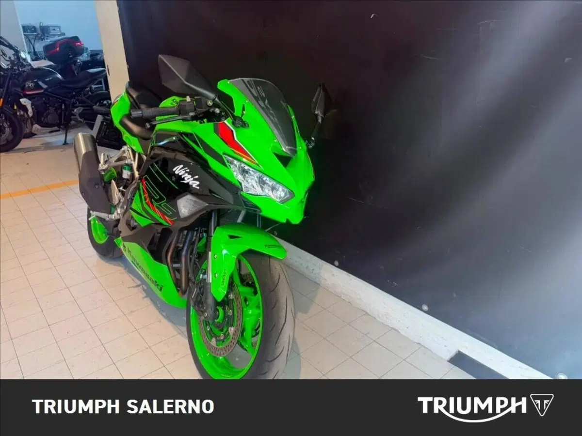 Kawasaki Ninja ZX-4R (2024 - 26) (3)