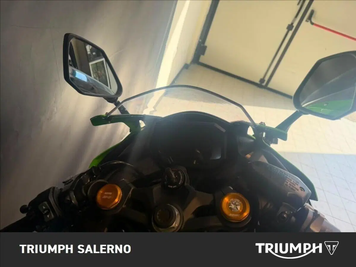 Kawasaki Ninja ZX-4R (2024 - 26) (7)